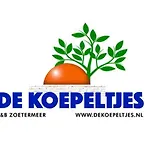 Bed & Breakfast De Koepeltjes Zoetermeer