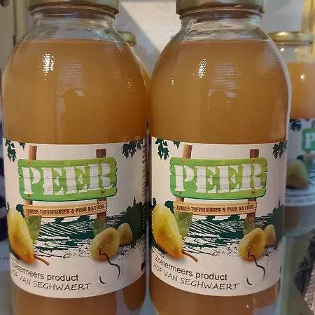 Panzió De Koepeltjes