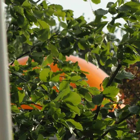 Panzió De Koepeltjes Zoetermeer