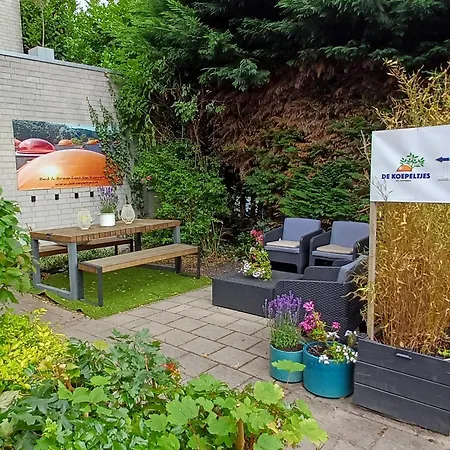 De Koepeltjes 住宿加早餐酒店