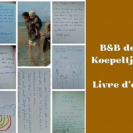 De Koepeltjes 4*