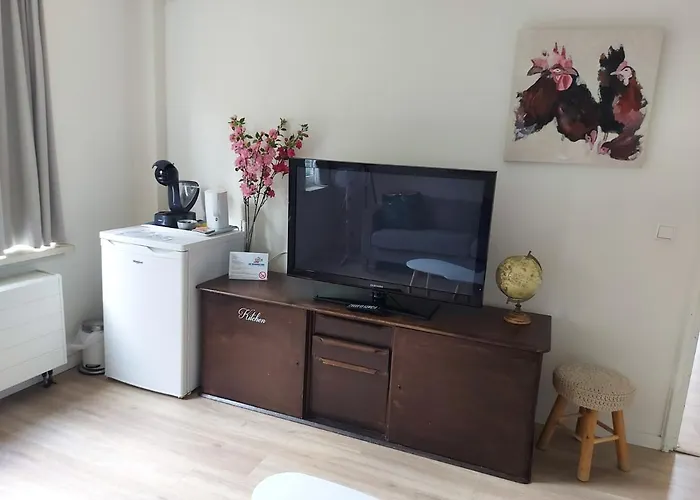 Bed and Breakfast De Koepeltjes 4*