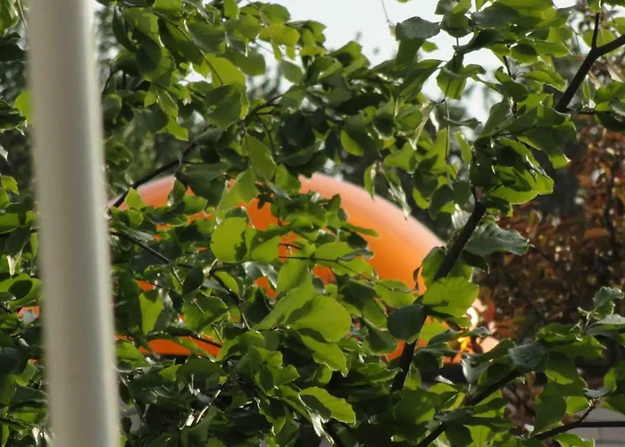 Alojamento de Acomodação e Pequeno-almoço De Koepeltjes Zoetermeer