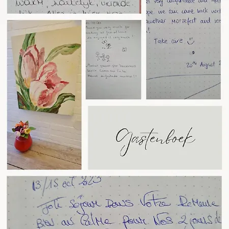 De Koepeltjes 4*