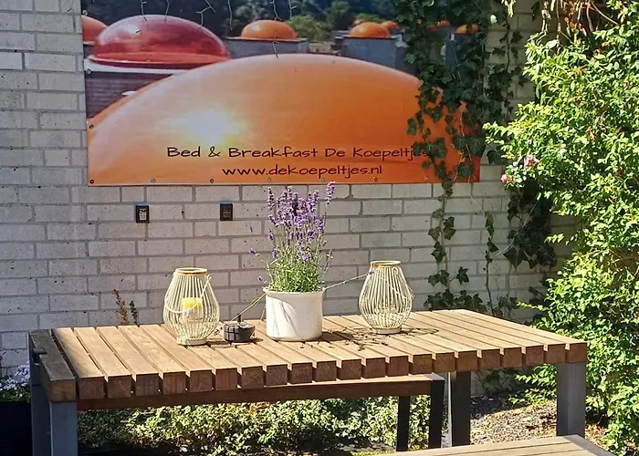 Bed & Breakfast De Koepeltjes